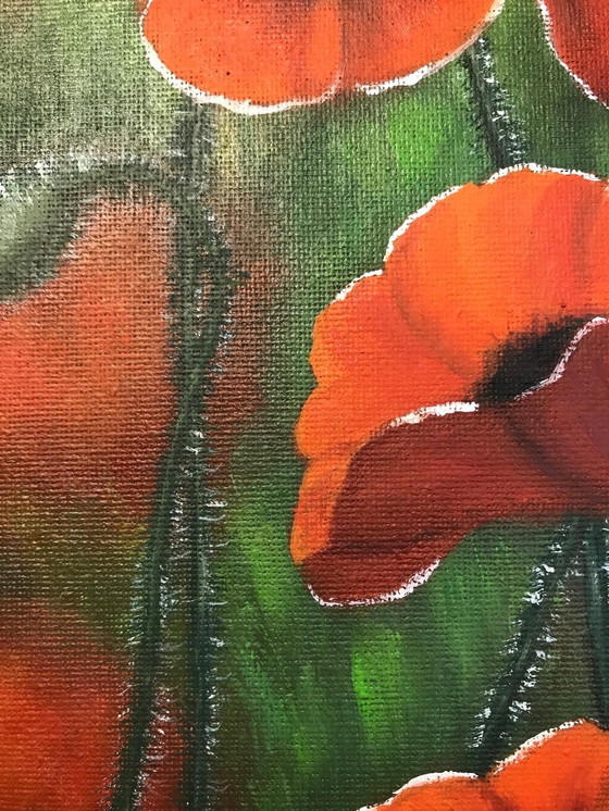 Image 1 of Pintura al óleo - Irina Gauss - Amapolas en verano