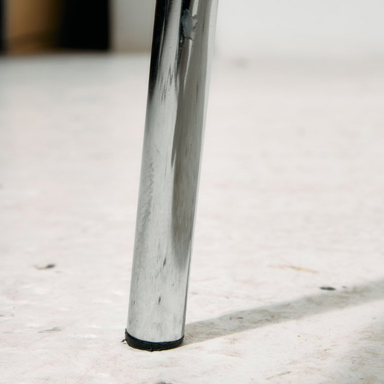 Image 1 of MK11234 Silla austriaca Wiesner-Hager