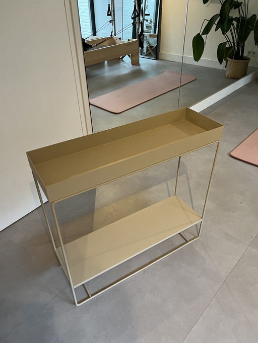 Farn Living Plant Box Zwei