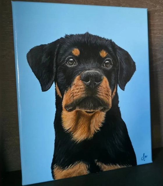 Image 1 of Faites réaliser un portrait de votre animal de compagnie, peinture