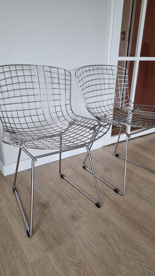 Vintage Bertoia chairs