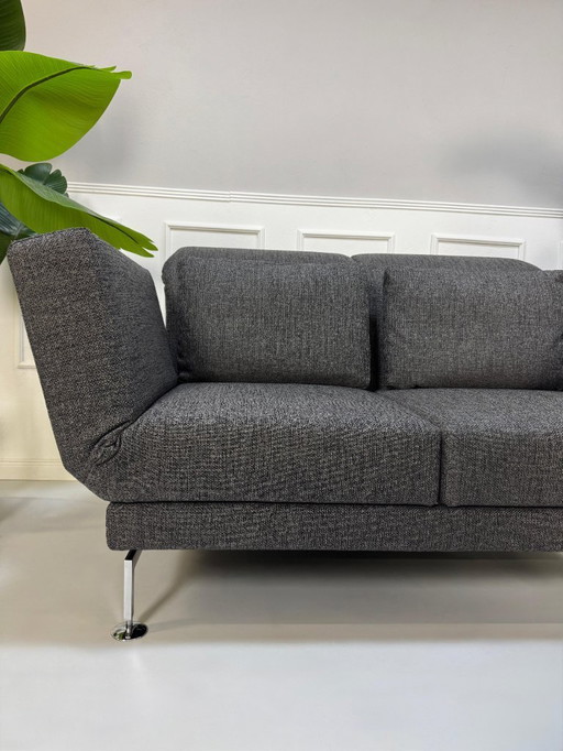 Brühl Moule Small Sofa Ausstellungsstück Stoff Grau Gästebett