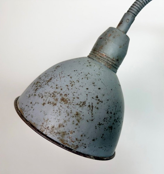 Image 1 of Grijze industriële wandlamp met flexibele arm van Elektroinstala, jaren 60.