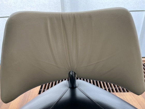 Image 1 of Leolux Pallone