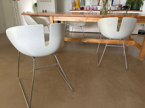 Image 1 of 6 sillas Moroso blancas