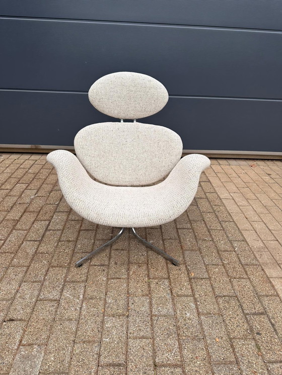 Image 1 of Artifort Big Tulip 1ª Edición 1958 Pierre Paulin, ¡¡¡Impecable estado nuevo!!!