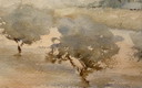 Aquarel Provenza Mont Ventoux (?). Kunstenaar onbekend. 1950