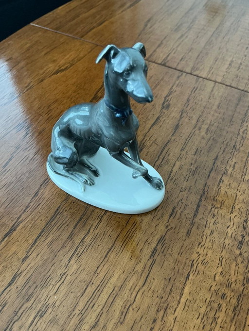 Pequeño whippet Hutsenreuter 1930