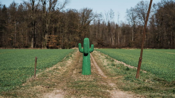 Image 1 of Gufram Cactus - Vert - Limitée 450/2000 - Multipli 86' série