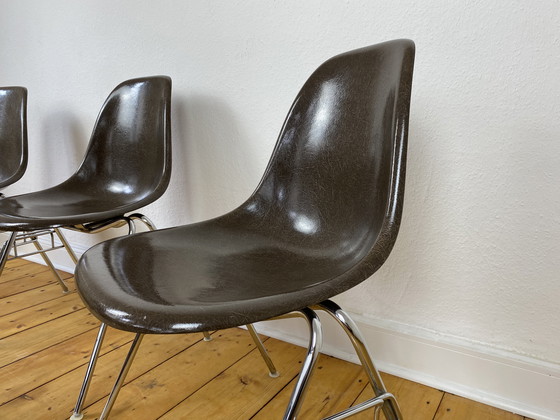 Image 1 of 4X Herman Miller Vitra Dss Chaises En Fibre De Verre De Charles & Ray Eames En Seal Brown