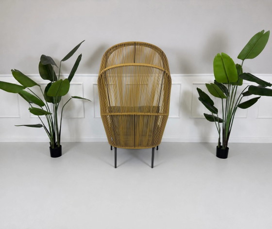 Image 1 of DEDON Rilly Cocoon Chair Gartenstuhl