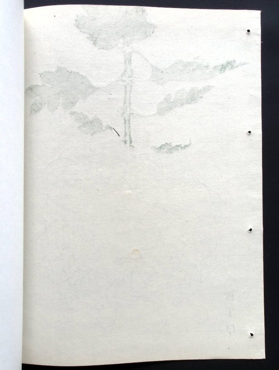 Keika Hasegawa "One Hundred Chrysanthemums" – Paintings & Drawings, Paper (photo 3 of 14)