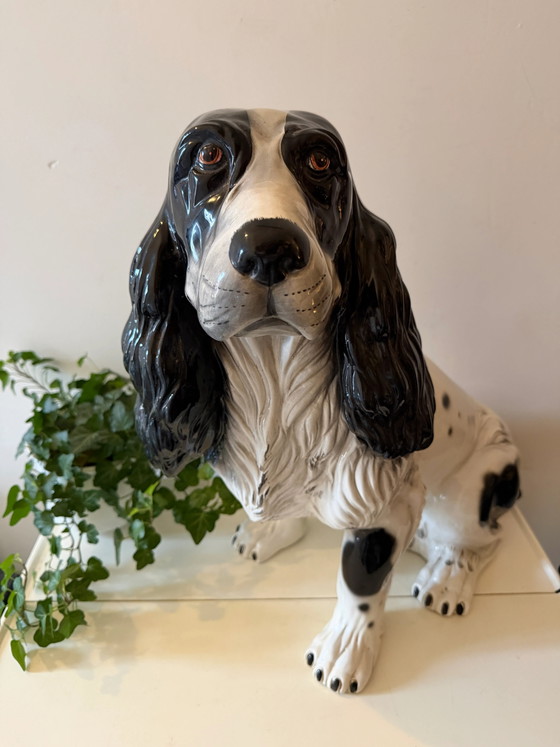 Italiaans Keramiek Spaniel Hond Beeld – Beeldhouwkunst, Ceramic, Vintage (photo 2 of 9)