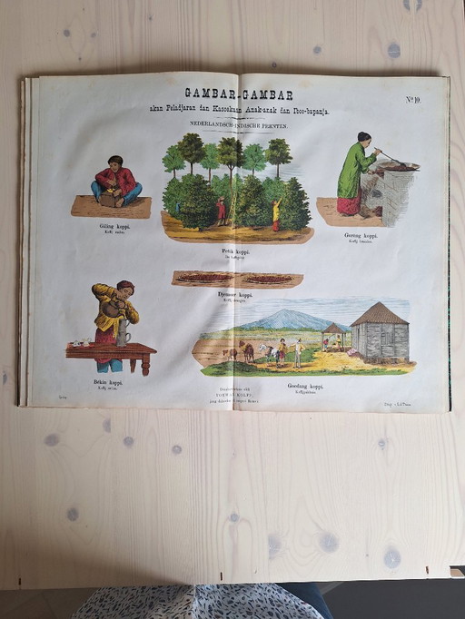 Antiek prentenboek Gambar-Gambar 
