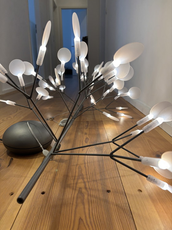Image 1 of Moooi Heracleum Endless Small / Linear Pendant Lamp – Nickel, very good condition