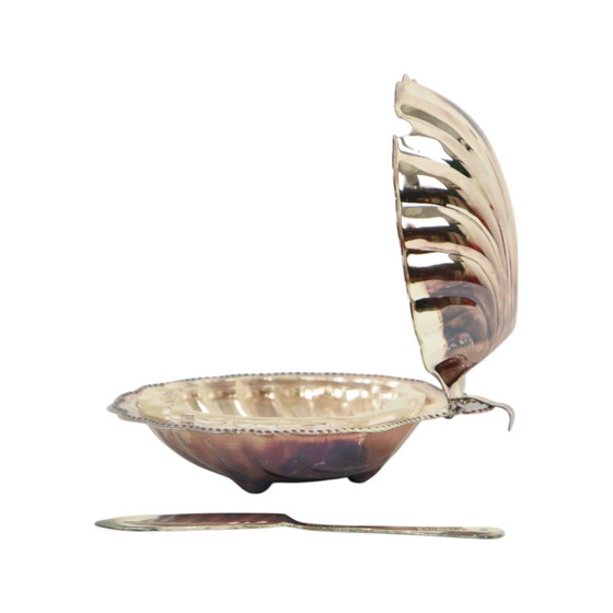 Image 1 of Piatto da burro a conchiglia Queen Anne