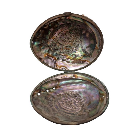 Image 1 of Ancienne boîte en coquille d'ormeau, début du 20e siècle