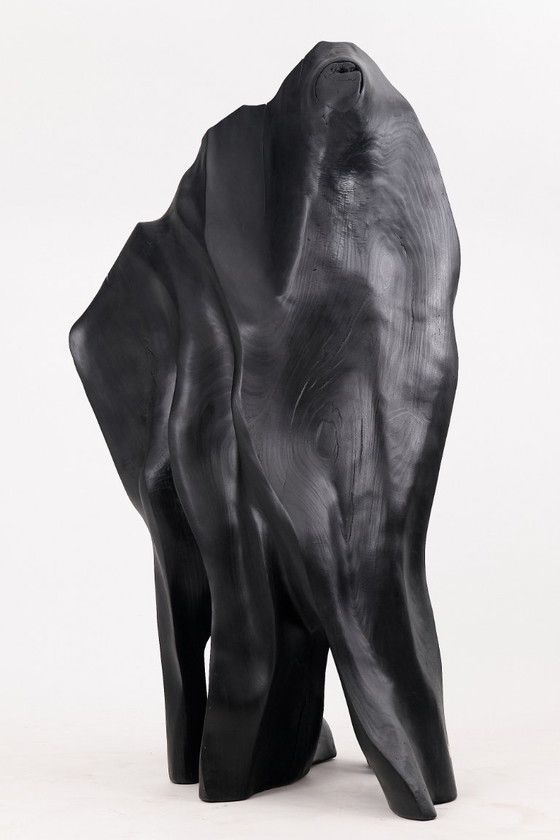 Image 1 of Fauteuil trône en bois noir carbonisé aux formes organiques par Logniture