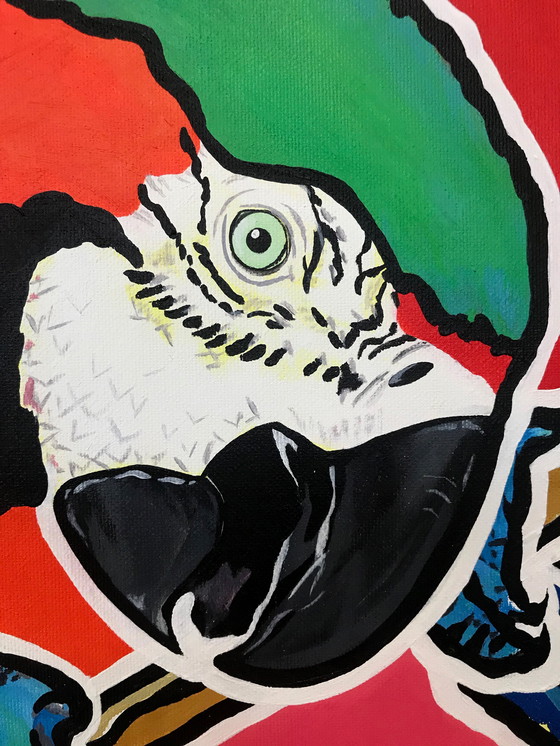 Image 1 of Pintura de guacamayos