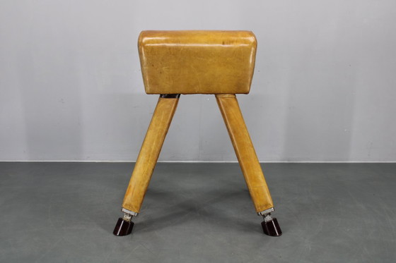 Image 1 of Tsjechoslowaaks turnpaard van leer en hout uit de jaren 50, in hoogte verstelbaar