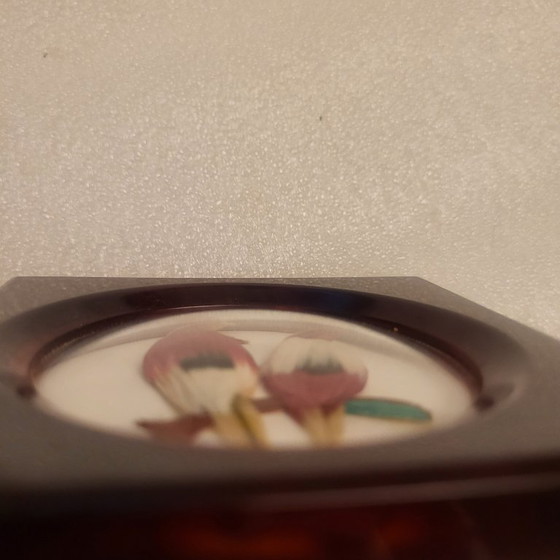 Image 1 of Cornice vintage in bachelite e veri uccelli piumati