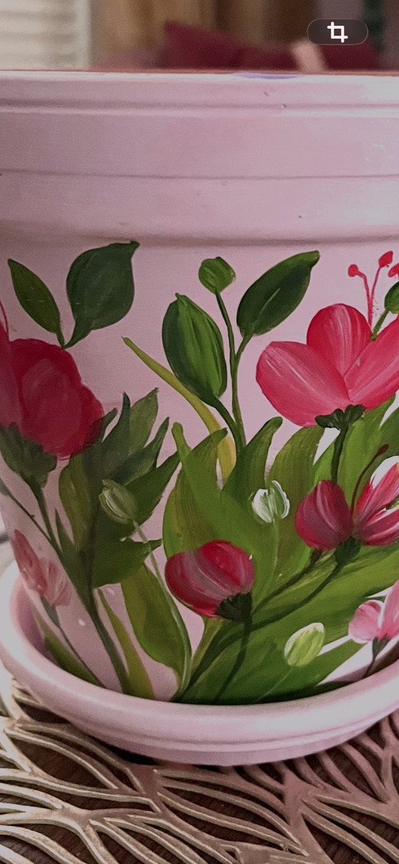 Image 1 of Hand-painted pot + saucer
