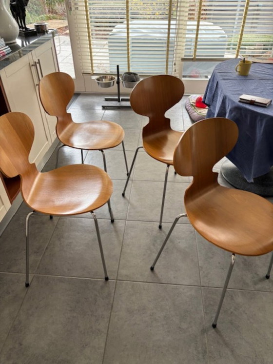 Image 1 of Tavolo Arco con 4 sedie Fritz Hansen