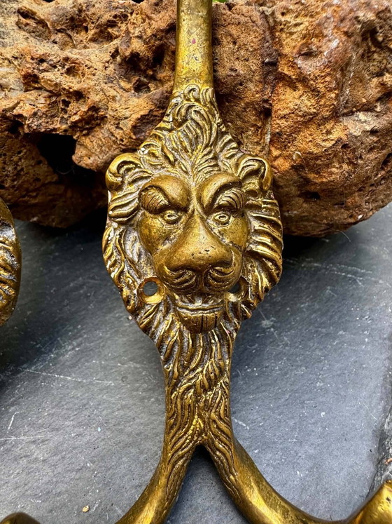 2 appendiabiti a forma di leone in ottone massiccio Art Nouveau – Brass (photo 3 of 6)