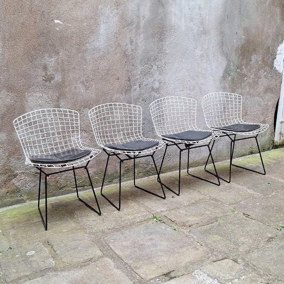 Image 1 of Set van 4 draadstoelen van Harry Bertoia, jaren 60.