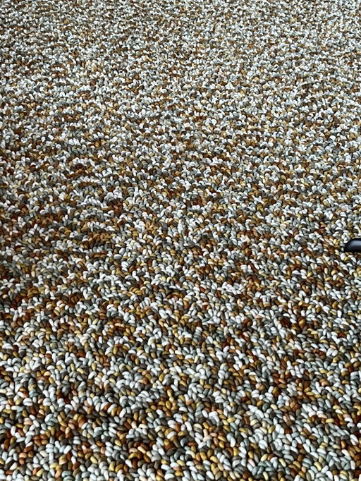 Brink en Campman runder Teppich / Teppich, neu!