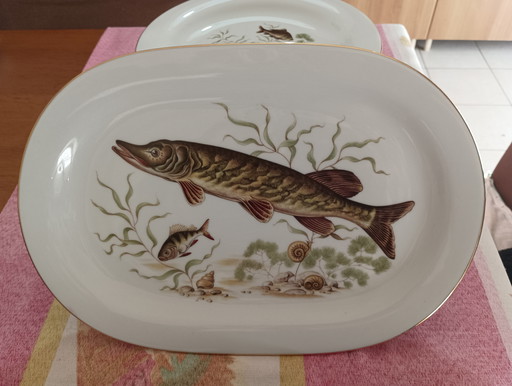 Vintage visservice Nieuw Johann Seltmann Vohentrauss Beieren Duitsland