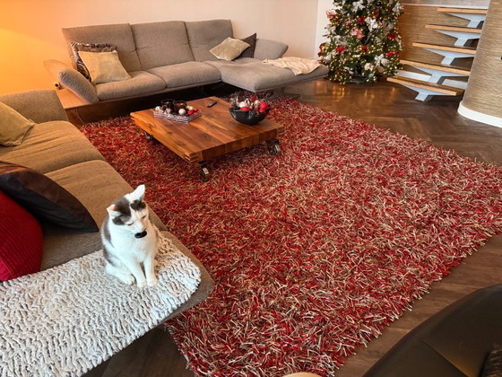 Image 1 of Tapis cocktail Kymo SG Polly Premium – 270 × 340 cm