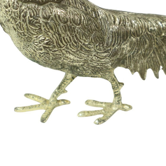 Image 1 of Images de faisans France