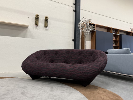 Image 1 of Línea Roset Ploum 3 Zits Banco Berenjena 204