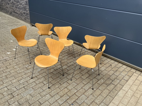 Image 1 of Fritz Hansen series 7 Butterfly chairs natural wood 1988