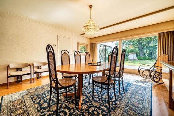 Unique THONET XL set: 10x vintage Thonet 'Long John' chairs + optional extendable dining table (photo 5 of 13)