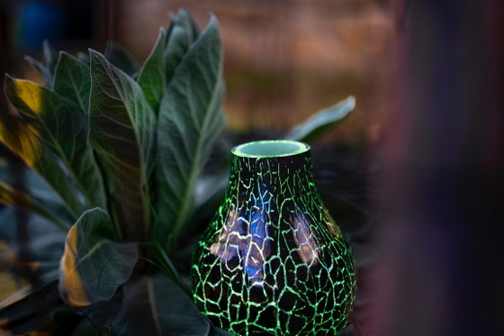 Emerald Glow – Glaskunst, Glass (photo 3 of 6)