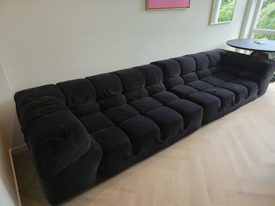 Image 1 of BB Italia Tufty time