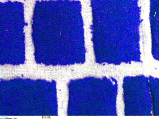 Image 1 of Tapis marocain artisanal en laine 200cmx300cm