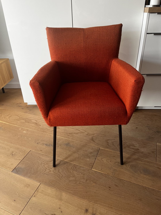 Image 1 of 4 sofort lieferbare Esszimmerstühle