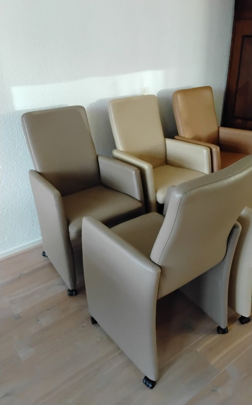 Dining chairs Chelsey 6 pieces