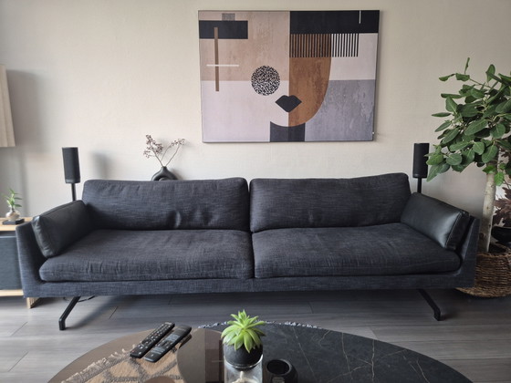 Image 1 of Divano lounge Fauve del marchio Indera