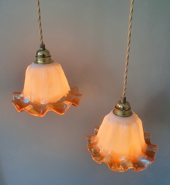 Set of Vintage Glass Pendant Lights. Floral / Flower-shaped Glass – Pendant lamps, Metal (photo 2 of 24)