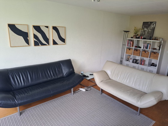 Image 1 of Leolux Tango sofa