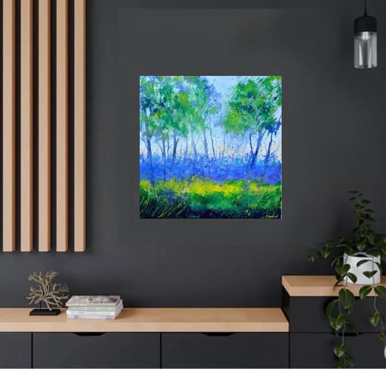 Image 1 of Spring in the wood