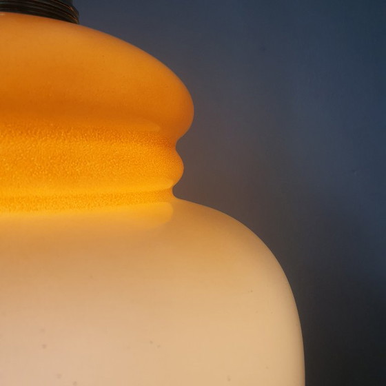 Vintage Glass Pendant Lamp - Flower Calyx design from France, Metal, Gold (photo 13 of 18)