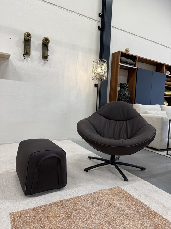 Image 1 of Label van den Berg Label Hidde soft dark Brown