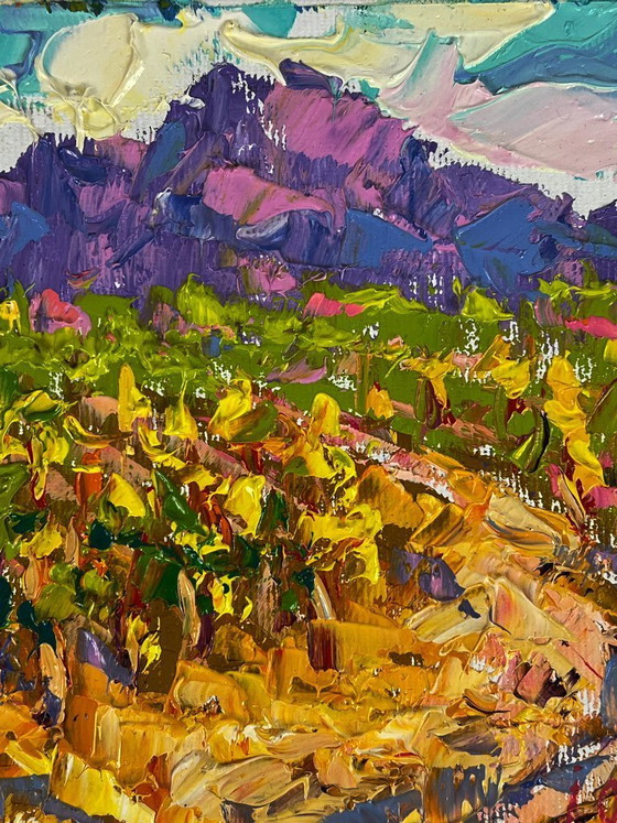 Image 1 of Vineyards near the Mountains