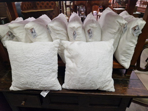 10 new white teddy pillows