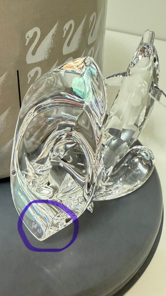 Image 1 of Swarovski "Dolphin on a Wave" con scatola (190365, Collezione "South Sea") - "Dolphin on a Wave" / "Dauphin sur une vague"